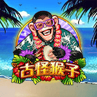 新古怪猴子