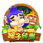 猴子爬樹