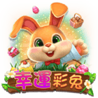 幸運彩兔